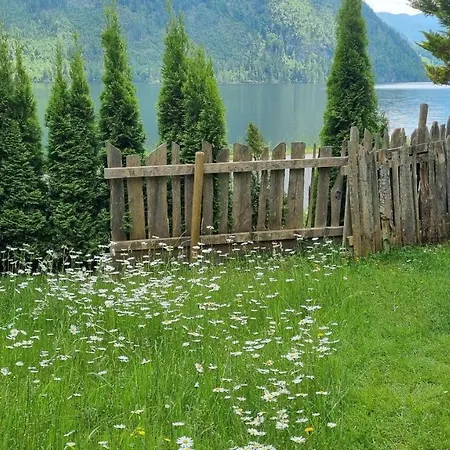 Ladner Am Apartament *